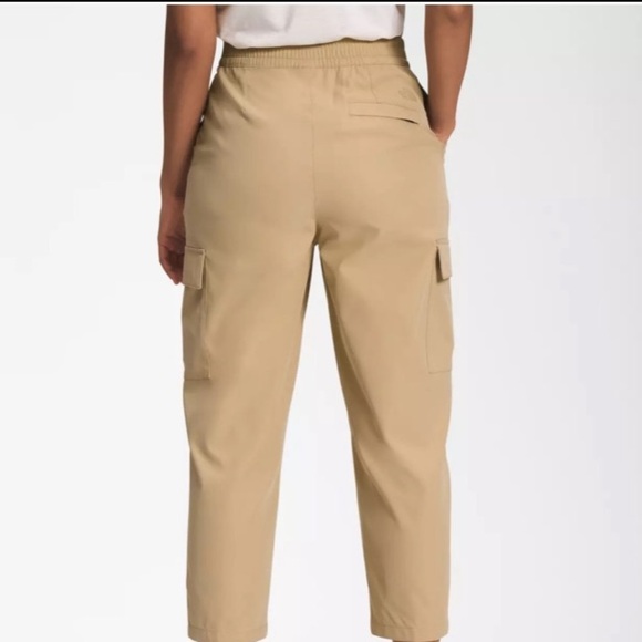 The North Face Standard Cargo Pant - Picture 1 of 13
